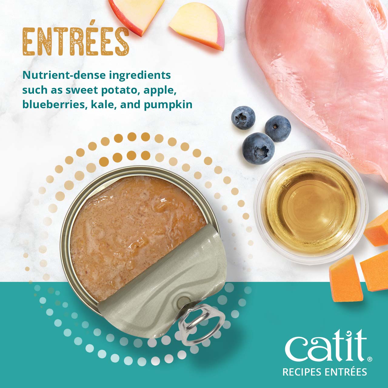 Catit Recipes Entrées wet cat food featuring nutrient-dense ingredients like sweet potato, apple, blueberries, and pumpkin