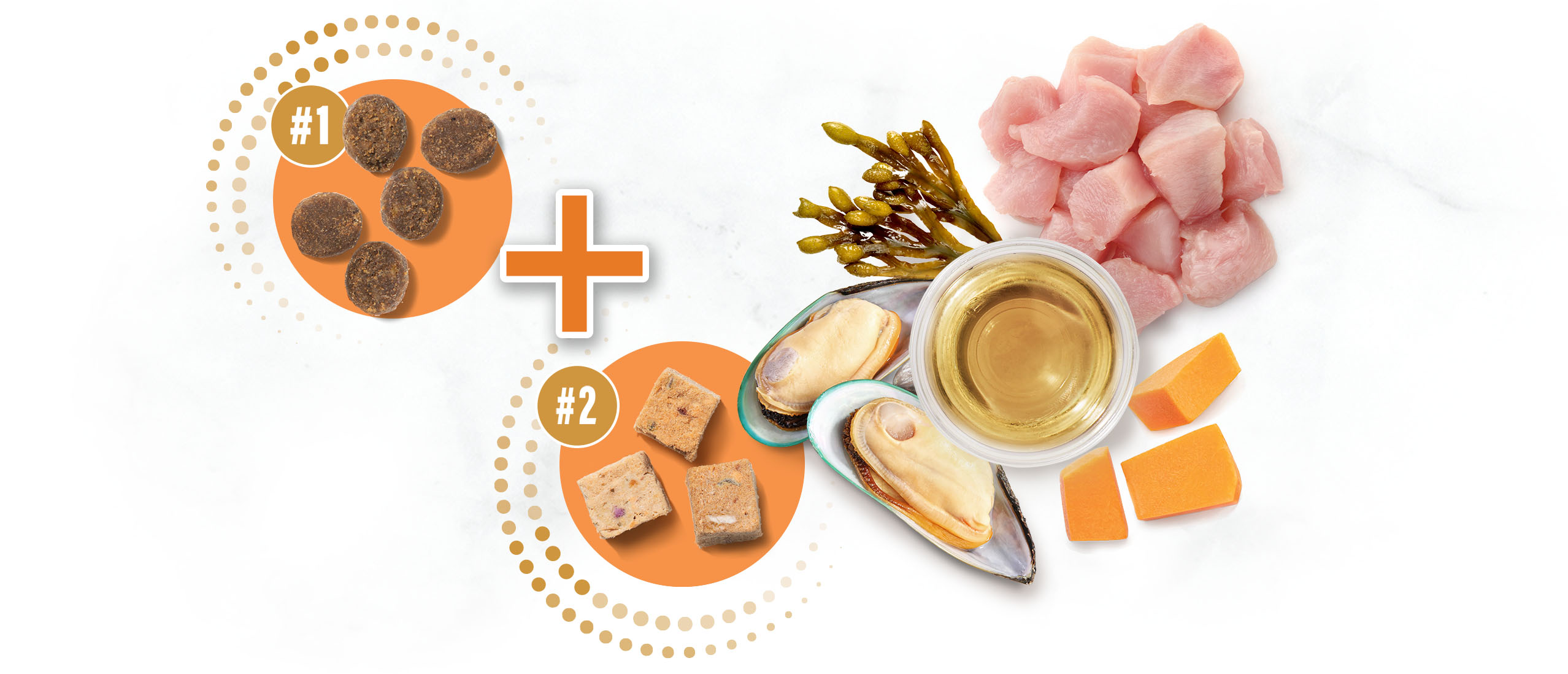 Catit Double Fusion cat food ingredients, showing kibble and freeze-dried pieces combined with raw chicken, mussels, and vegetables