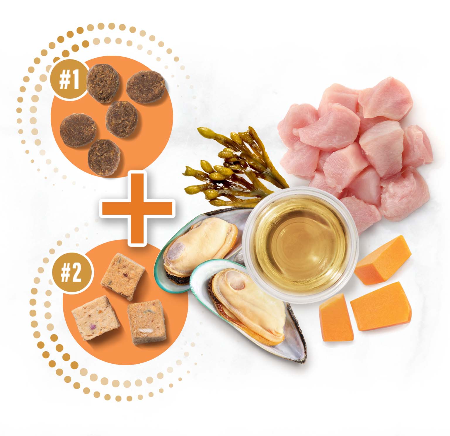Catit Double Fusion cat food featuring two types of kibble combined with raw chicken, mussels, seaweed, oil, and pumpkin
