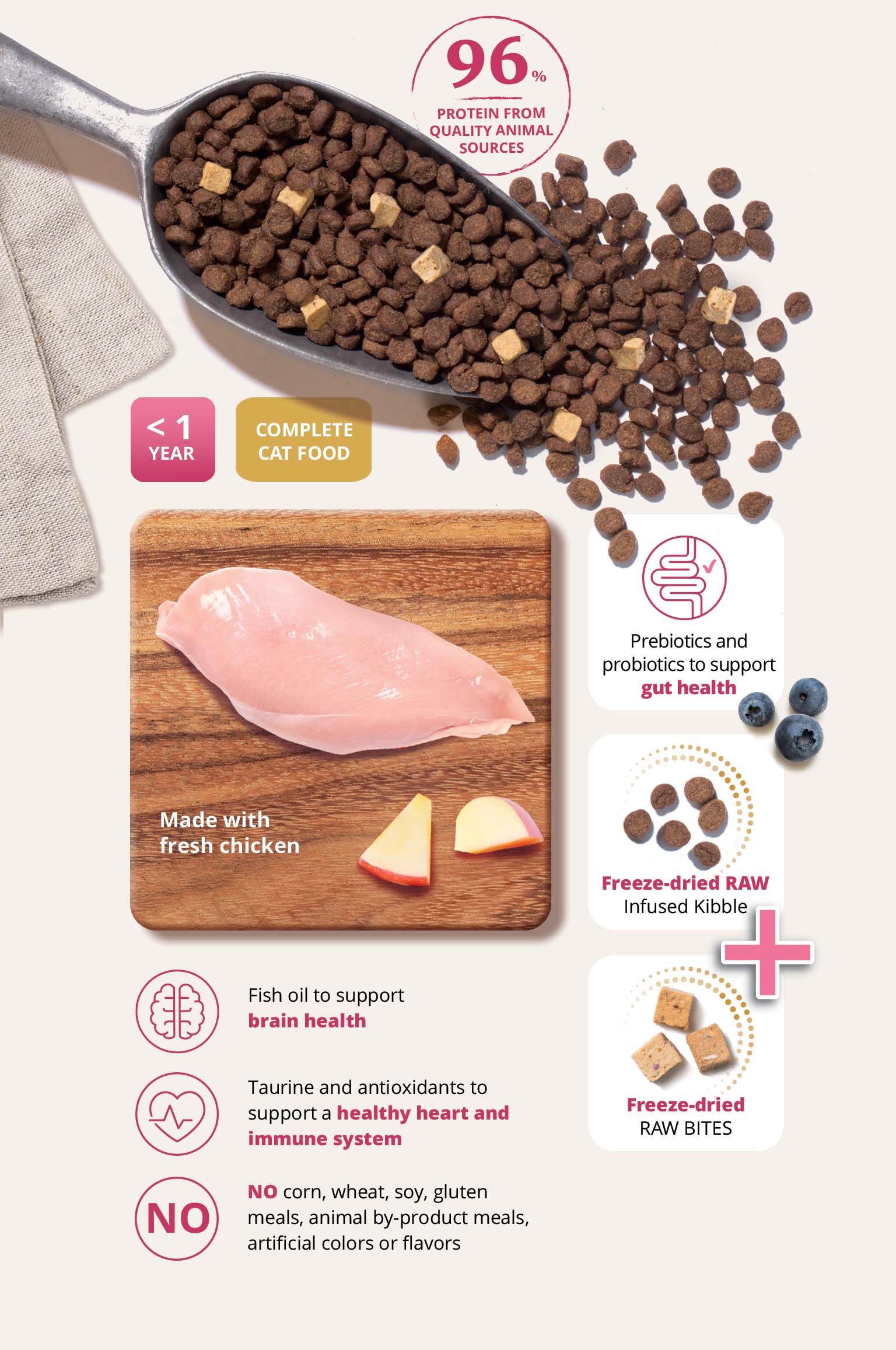 Infographic for Catit kitten food highlighting fresh chicken, freeze-dried raw bites, prebiotics, and essential nutrients
