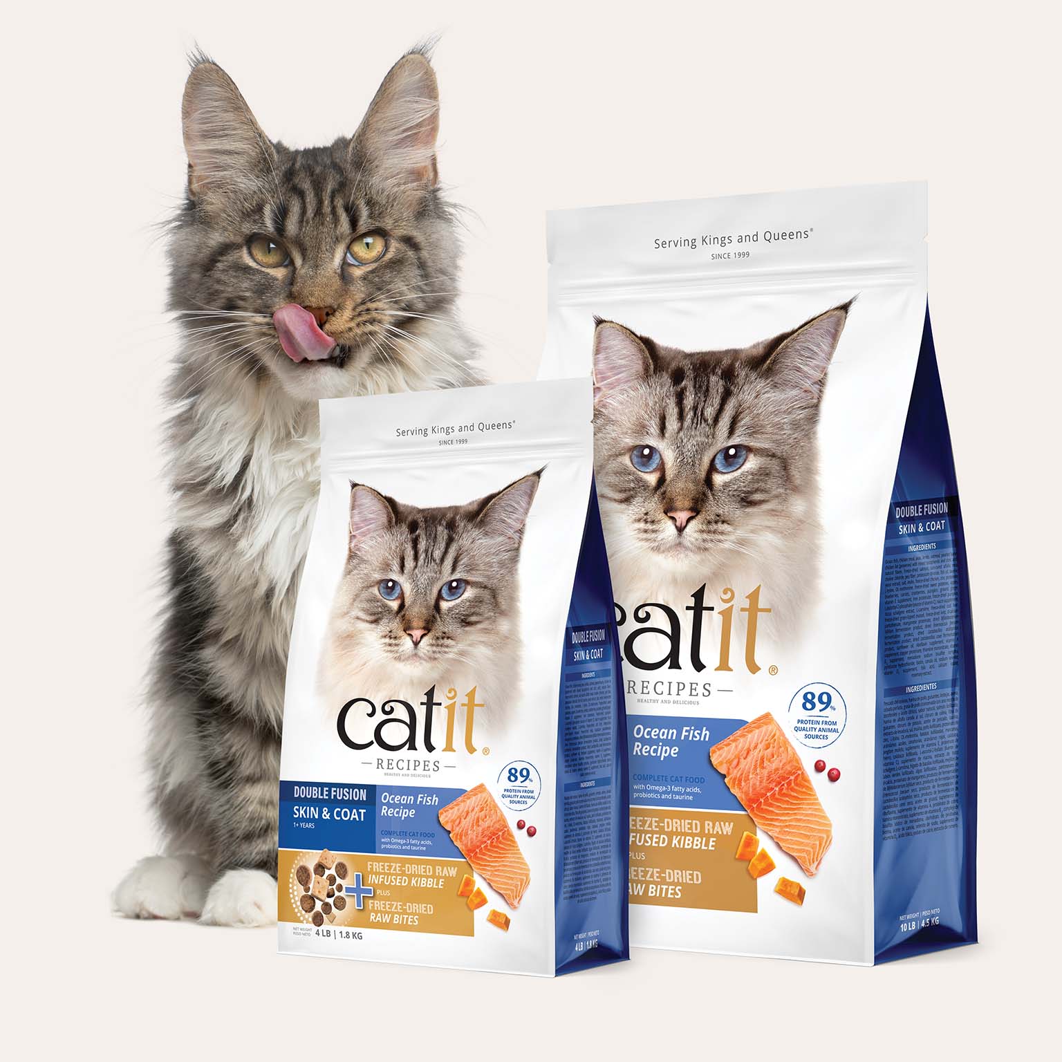 Two bags of Catit Recipes Ocean Fish cat food with freeze-dried raw bites, displayed next to a long-haired cat