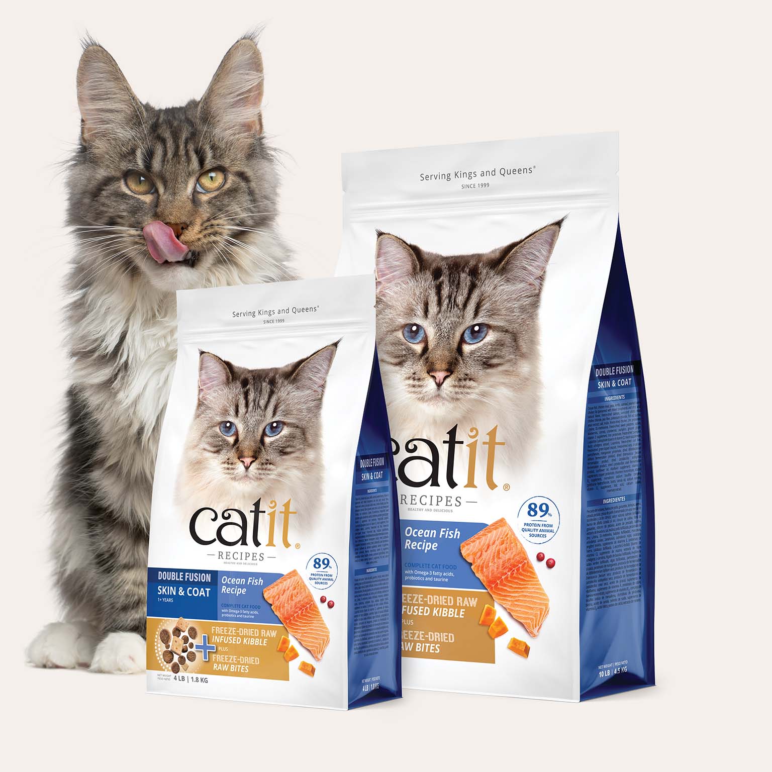A fluffy cat licking its nose next to two bags of Catit Recipes Ocean Fish Recipe cat food with freeze-dried raw bites