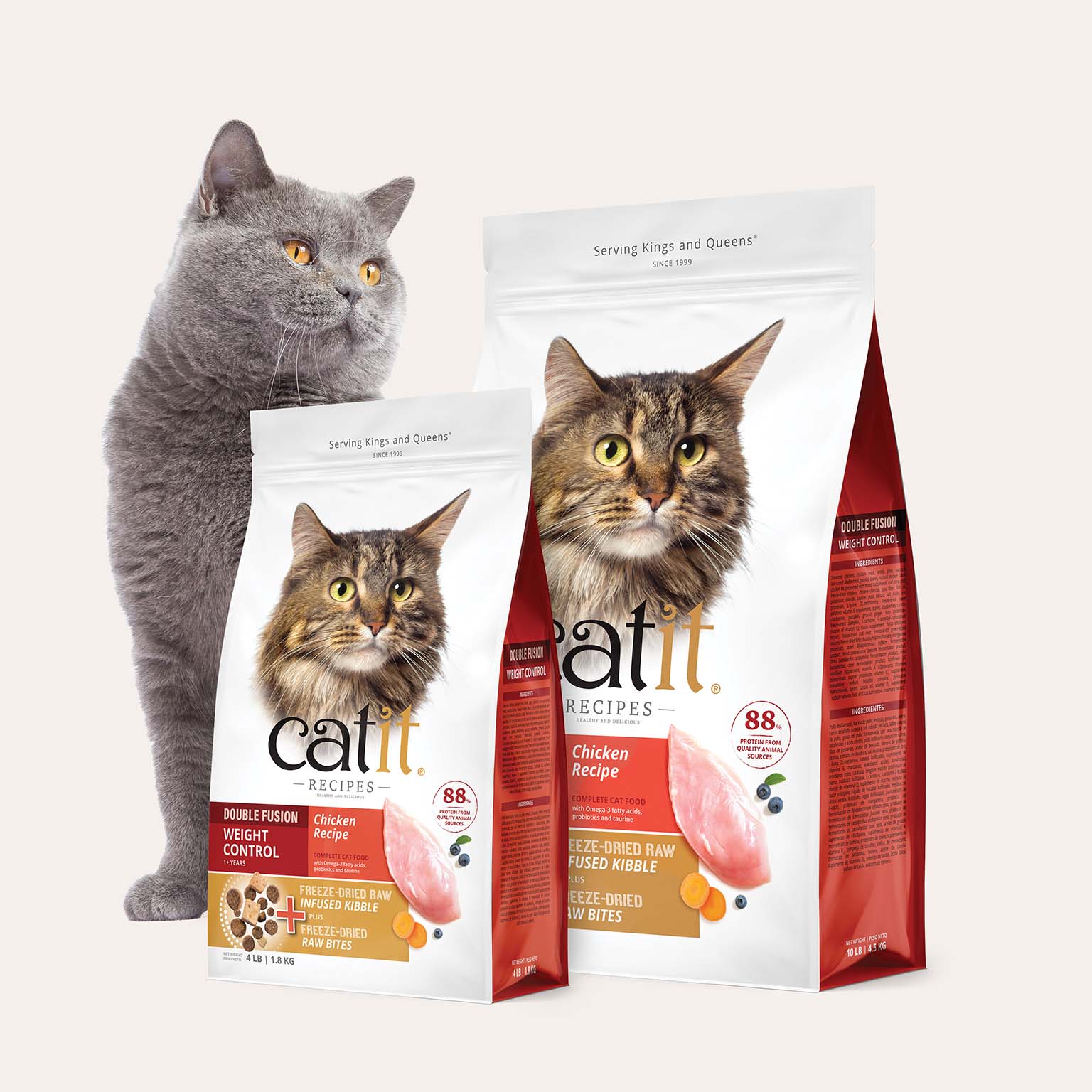A grey cat stands next to two bags of Catit Recipes Double Fusion Weight Control cat food