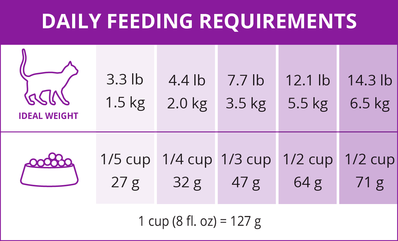 Catit daily feeding guide chart showing recommended food portions in cups and grams based on a cat's ideal body weight