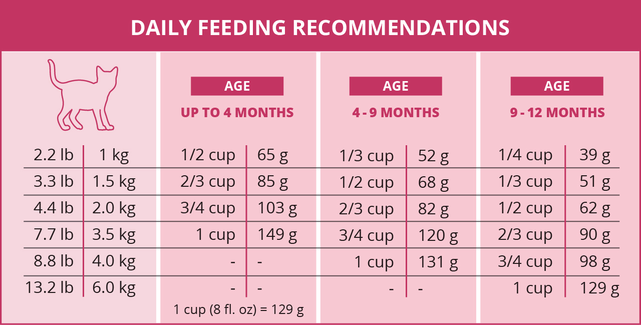 Catit daily feeding chart for kittens, showing recommended food amounts in cups and grams based on weight and age