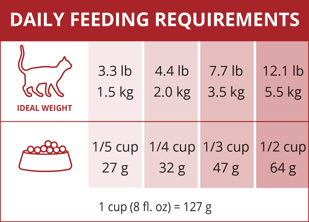 Catit daily feeding guide chart showing recommended food portions in cups and grams based on cat weight from 3.3 to 12.1 lbs
