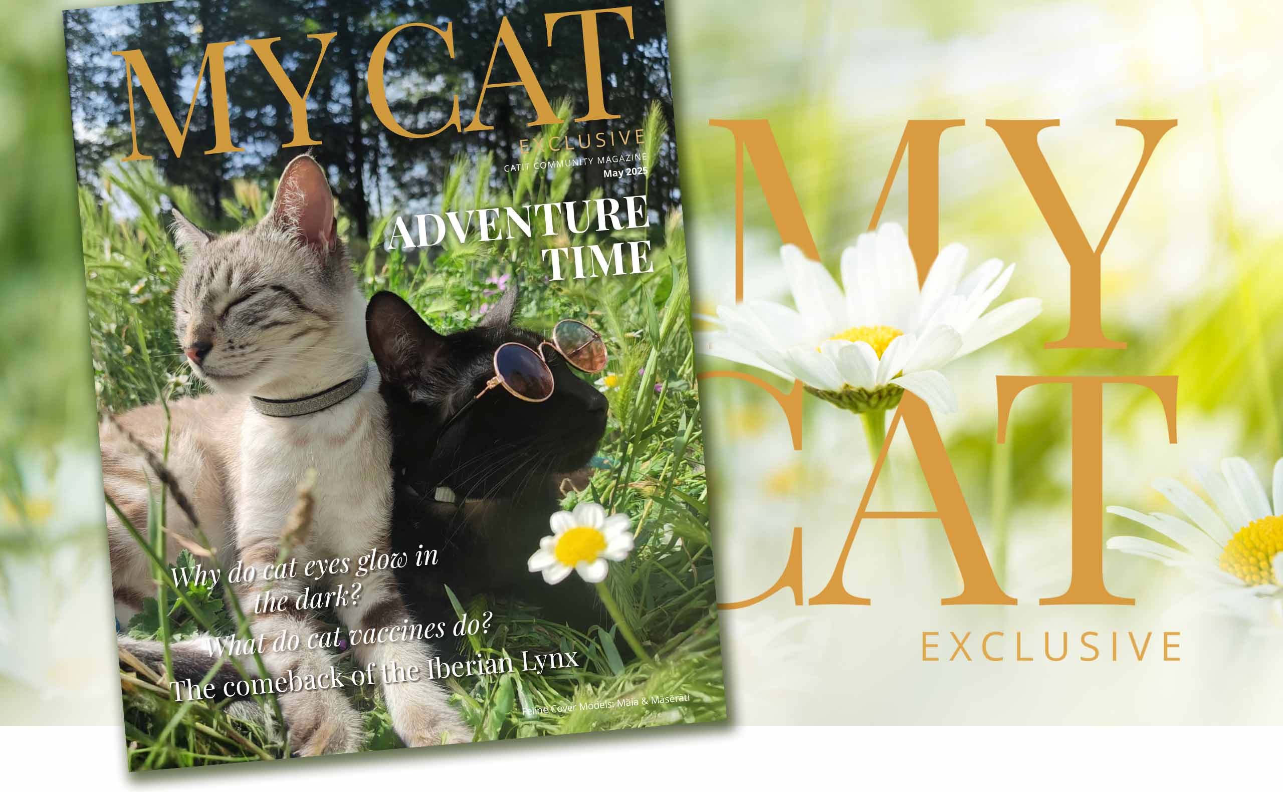 May 2025 issue of My Cat magazine featuring two cats in a field, with articles on cat eyes, vaccines, and the Iberian Lynx