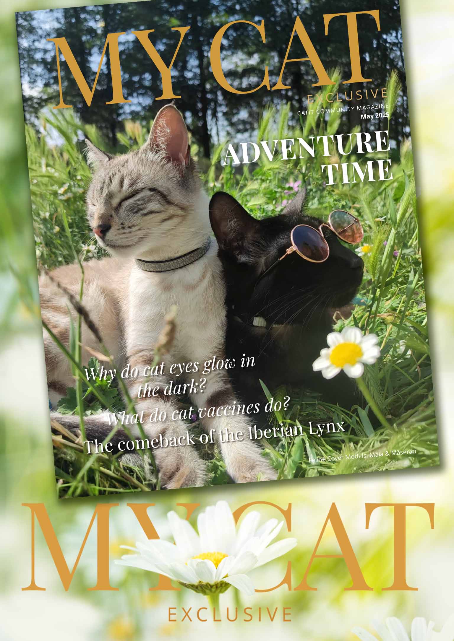 Magazine cover for My Cat featuring two cats in a field with the headline Adventure Time and articles on cat health