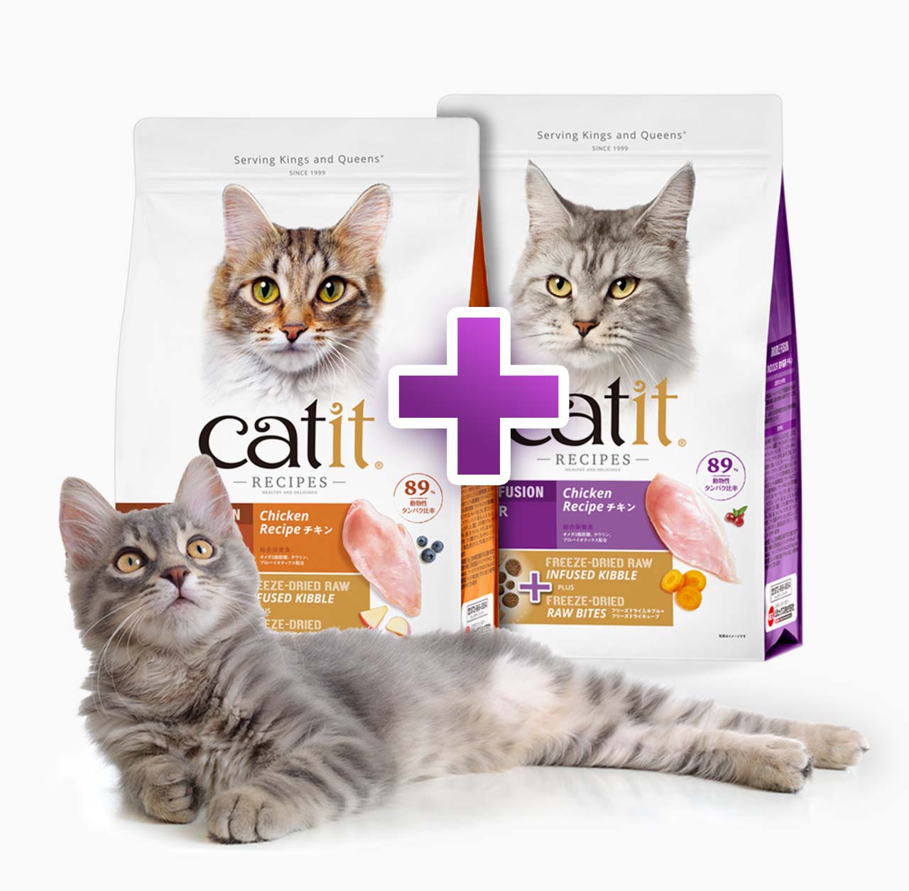 A grey cat lying in front of two bags of Catit Chicken Recipe freeze-dried raw infused kibble with a plus sign between them
