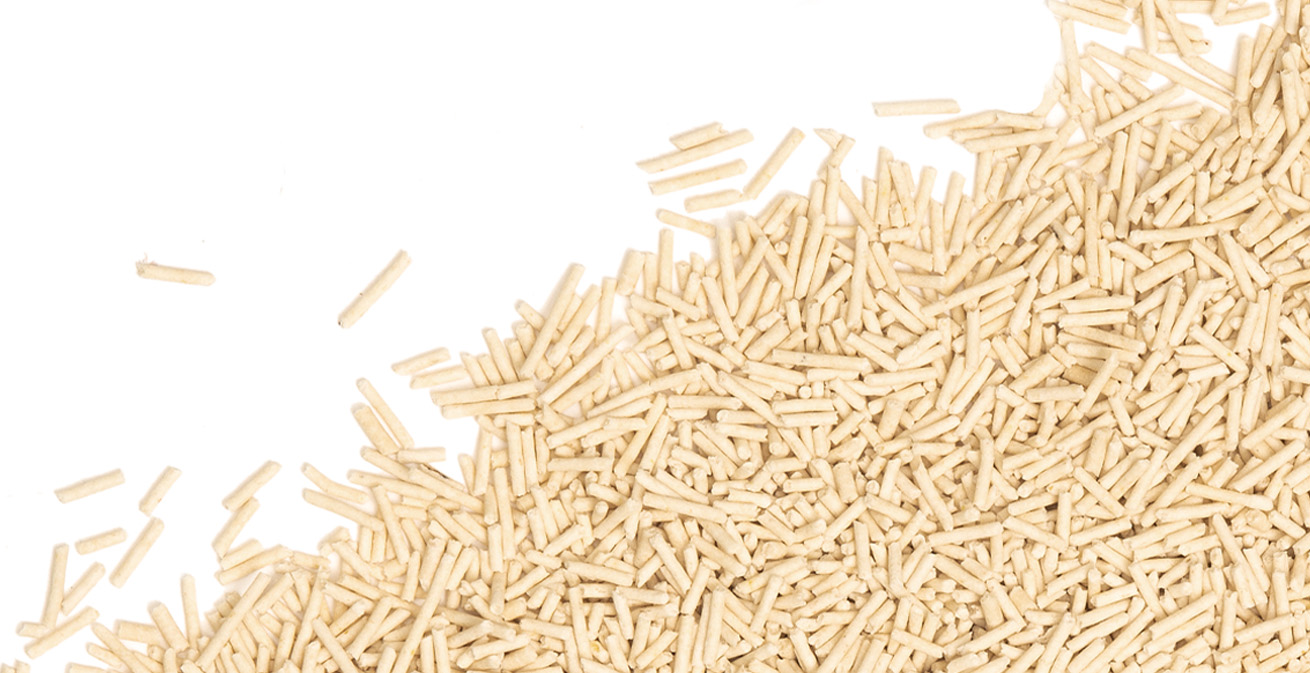 A pile of light-colored, cylindrical cat litter pellets against a white background