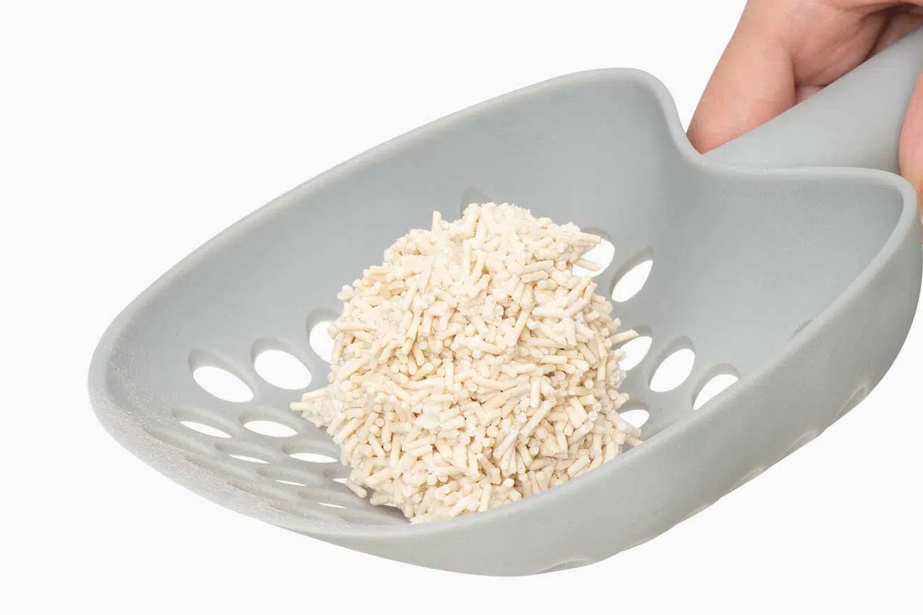 A hand holding a grey plastic litter scoop containing a clump of light-colored, pellet-style cat litter
