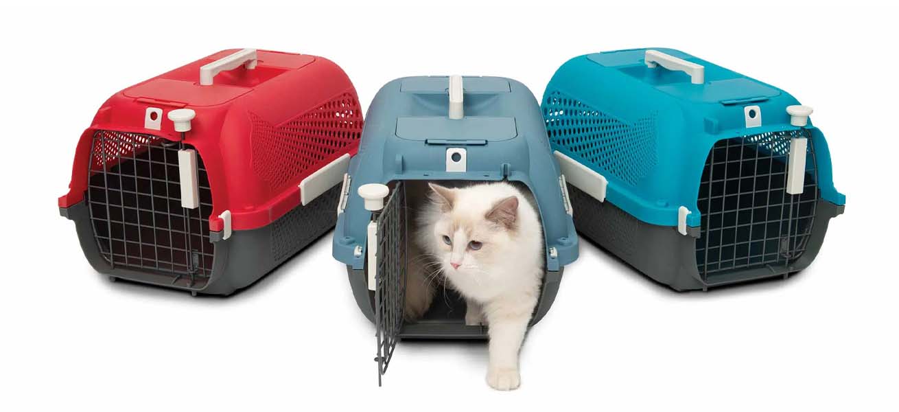 A white cat stepping out of a blue pet carrier, flanked by a red and a blue carrier on a white background