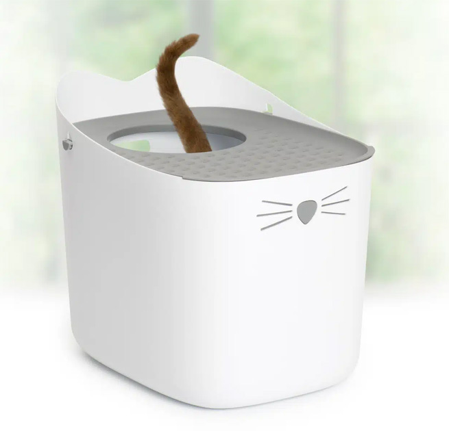 White Catit PIXI litter box with a grey lid and a cat tail sticking out of the top entrance