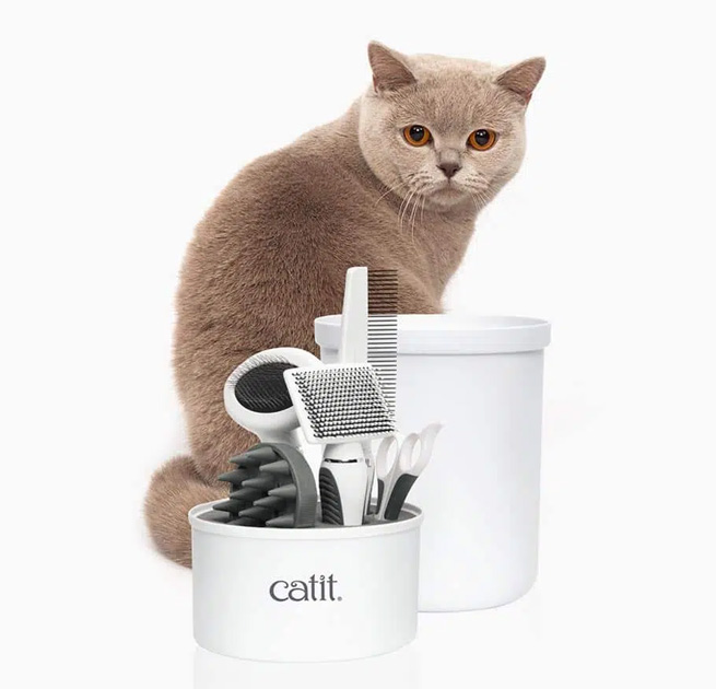 A brown cat sitting behind a Catit grooming kit containing various brushes, a comb, and scissors in a white container