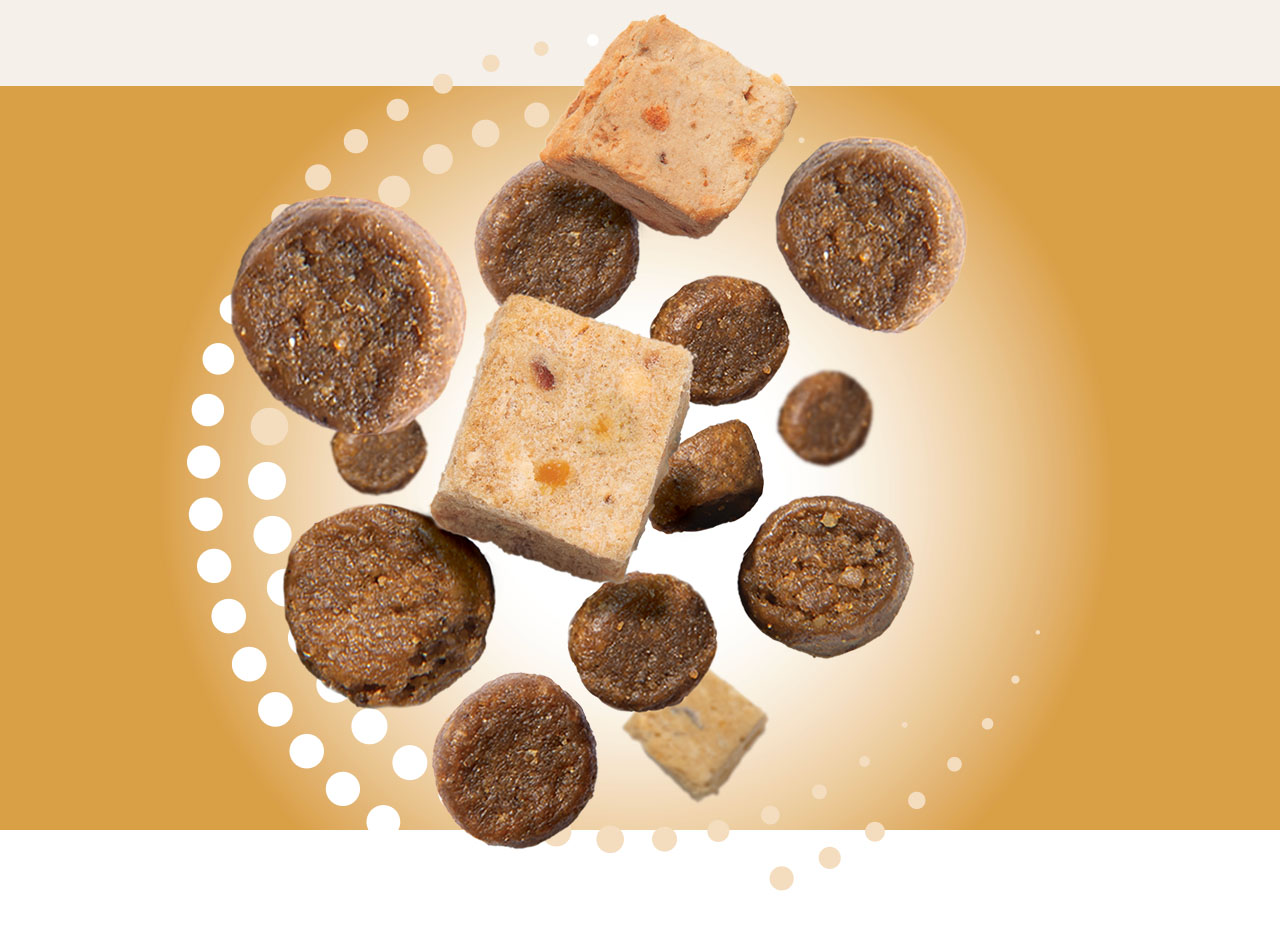 Catit Double Fusion cat food kibble and freeze-dried meat cubes floating against a gold background