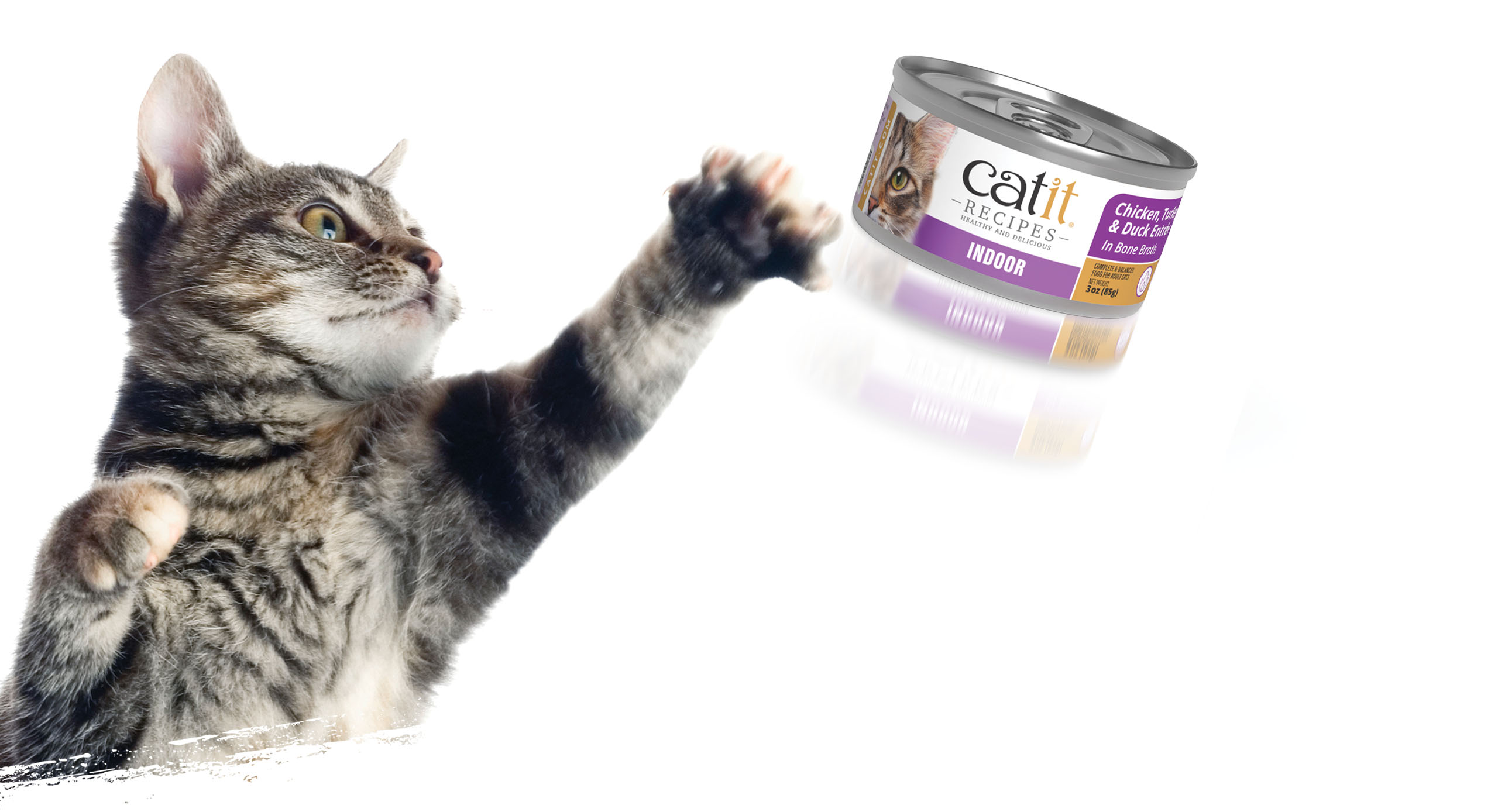 A tabby cat reaching out to swat a can of Catit Chicken, Turkey & Duck Entrée cat food