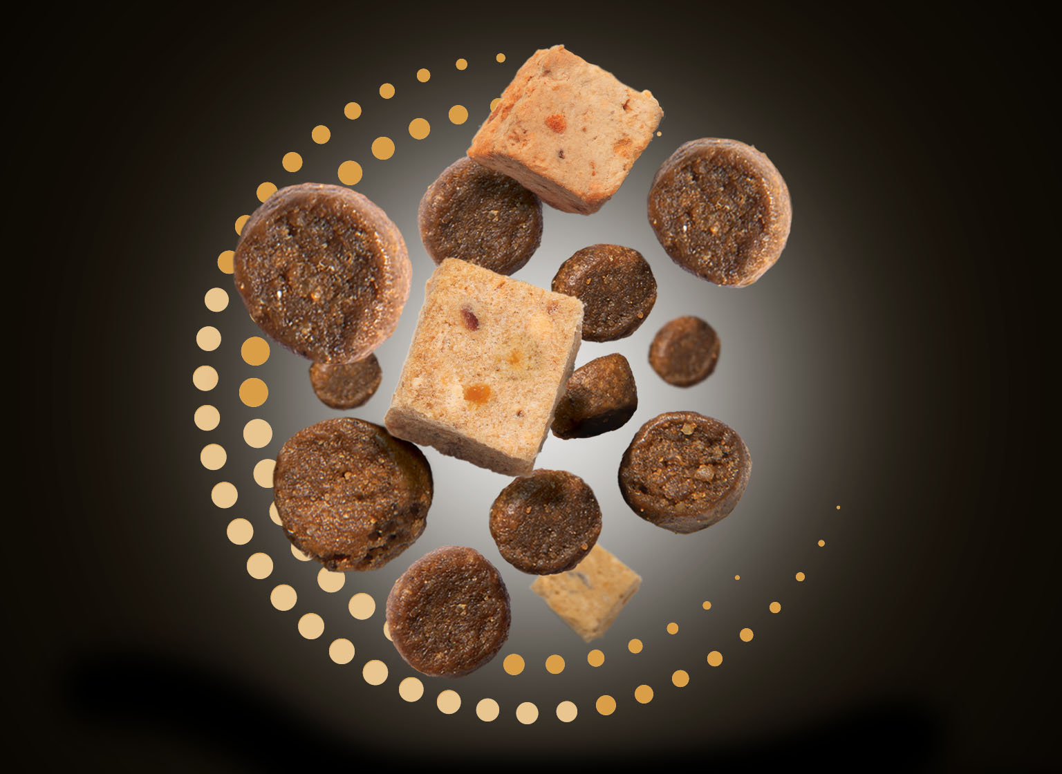 Floating pieces of dry cat food kibble and freeze-dried meat cubes against a dark background with gold dots