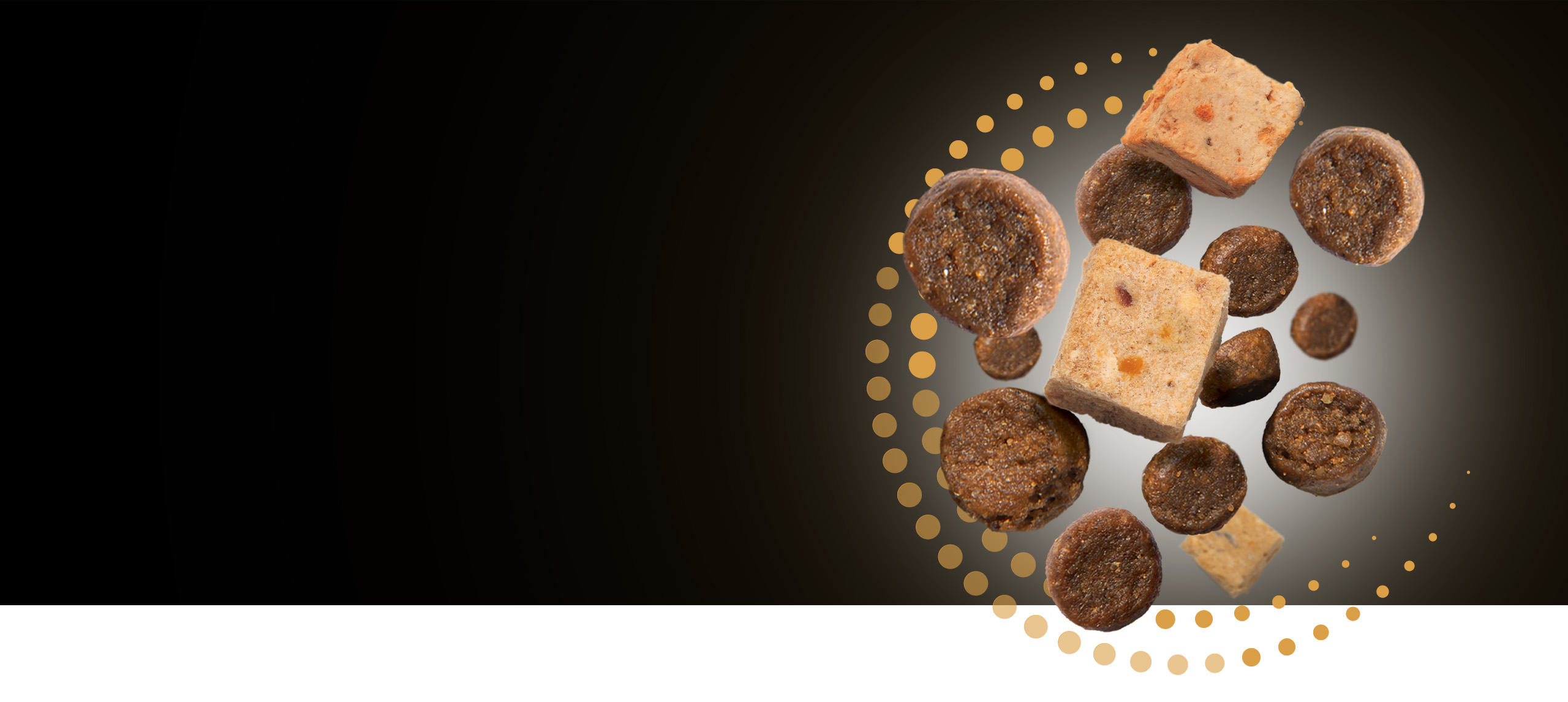 Floating pieces of dry cat food and freeze-dried meat treats against a dark background with a gold dotted circular pattern