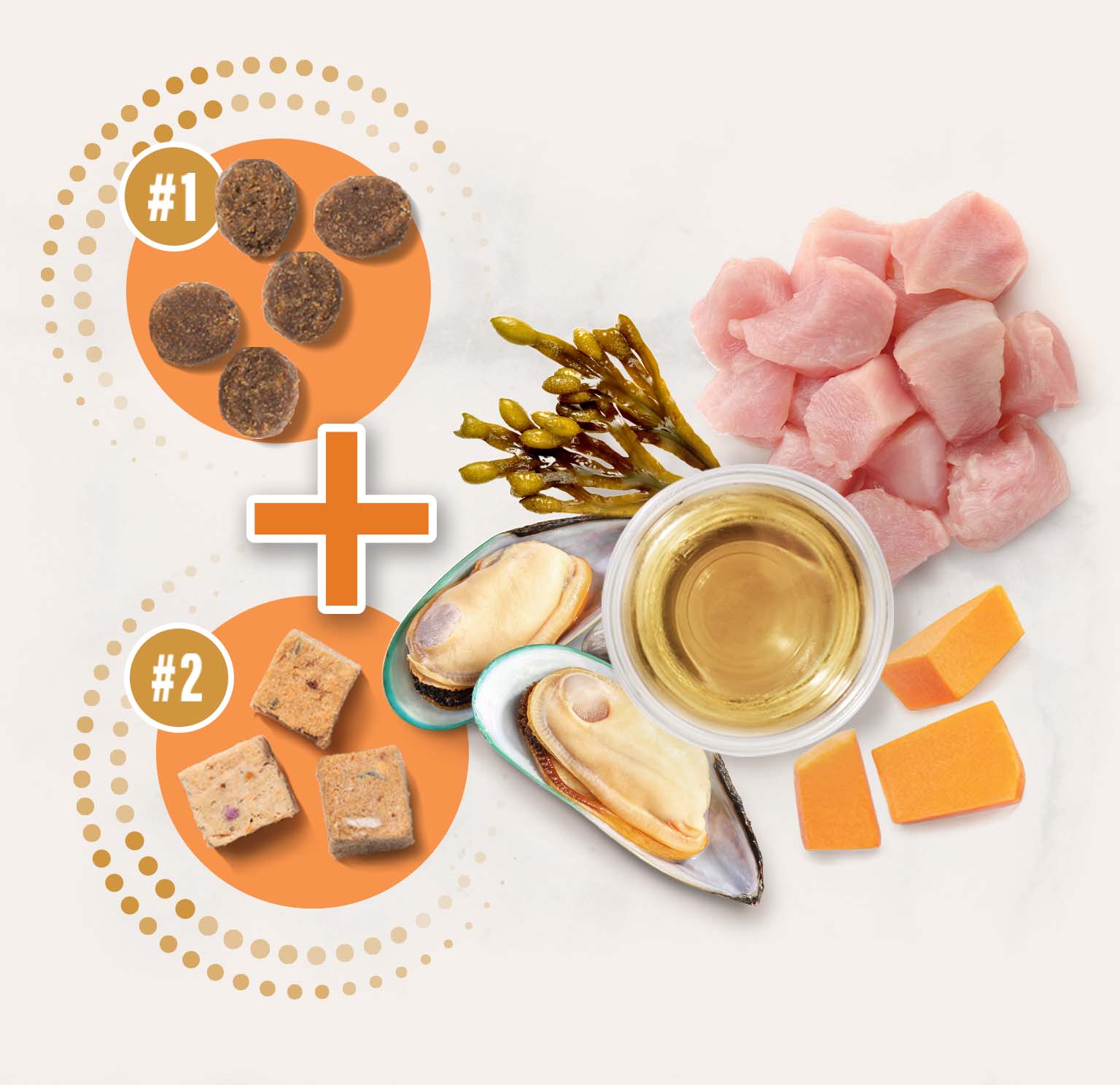 Infographic showing two types of cat food kibble combined with fresh ingredients like chicken, mussels, seaweed, and pumpkin
