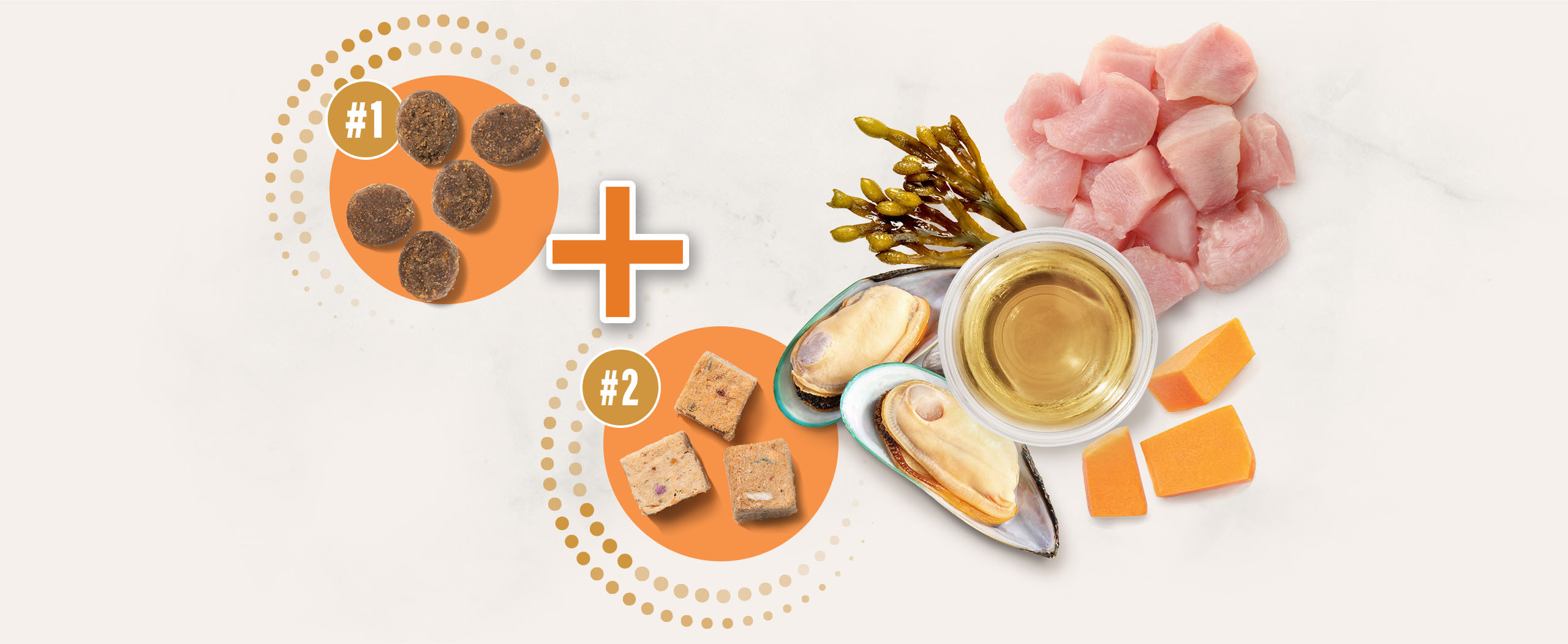 Infographic showing two types of cat food kibble combined with fresh ingredients like chicken, mussels, seaweed, and squash