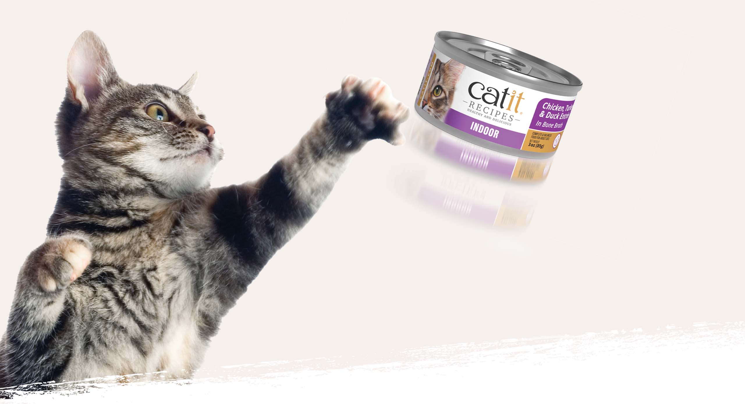 A tabby cat reaching out with its paw toward a can of Catit Recipes Indoor cat food