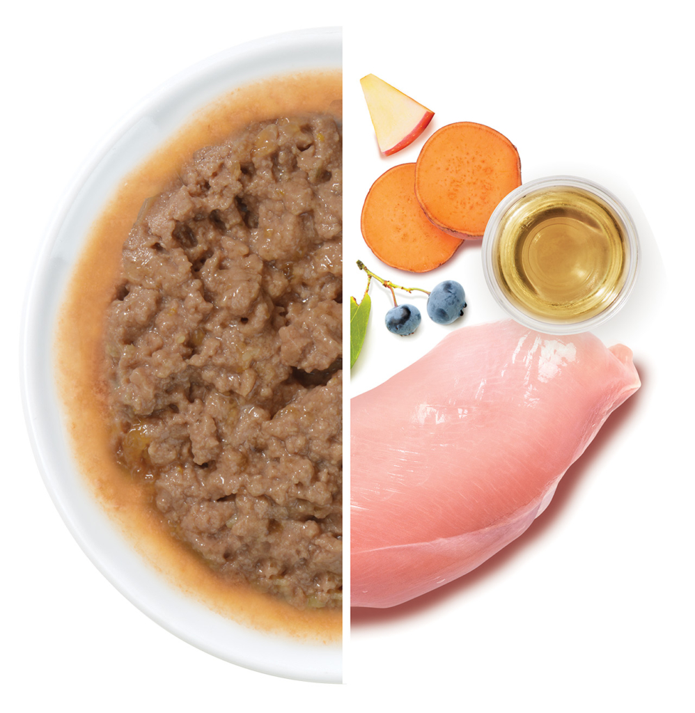 Cat food on a plate next to its raw ingredients, including chicken, sweet potato, apple, blueberries, and oil