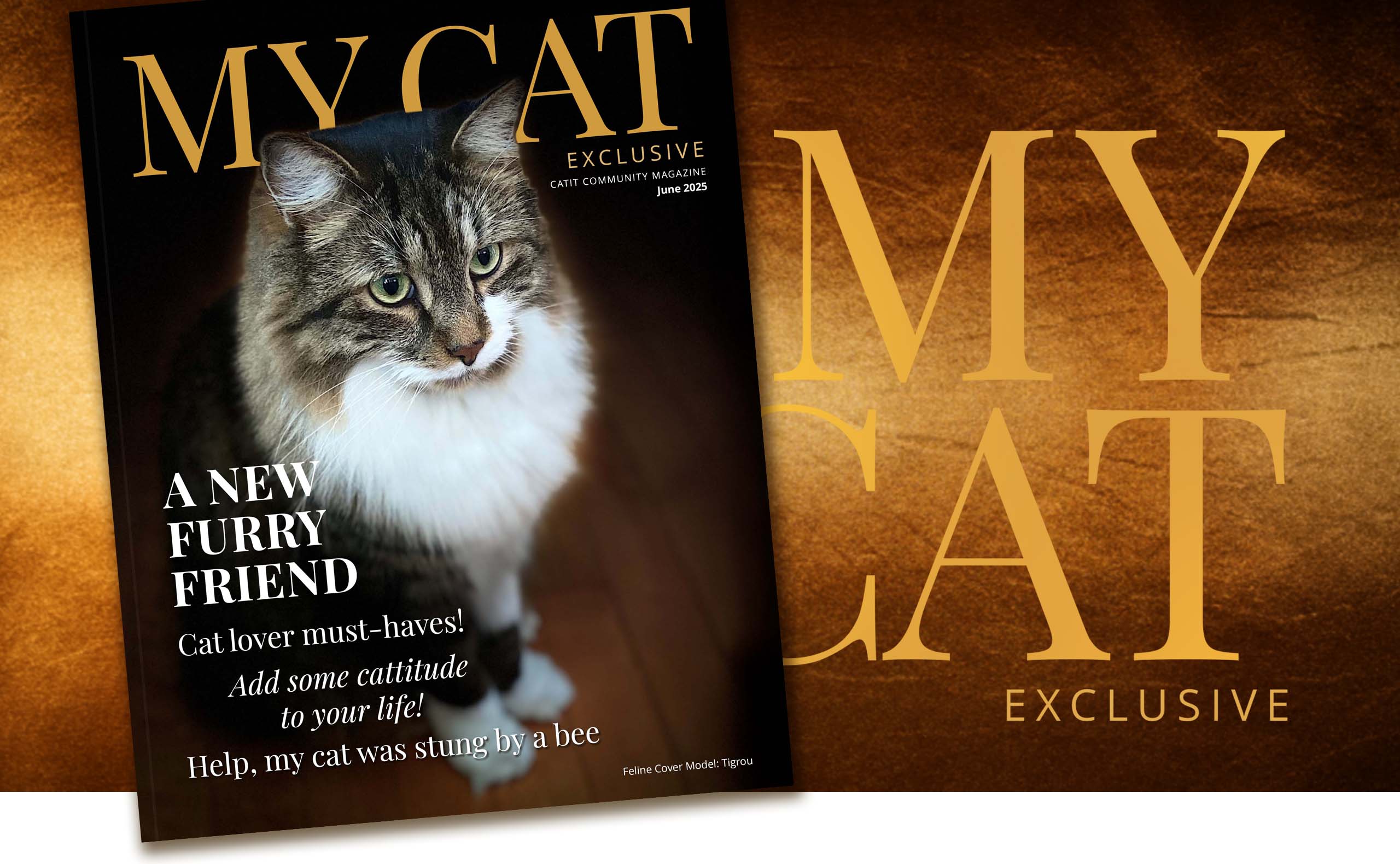 Catit My Cat magazine cover for June 2025 featuring a fluffy tabby cat and articles on cat care and lifestyle