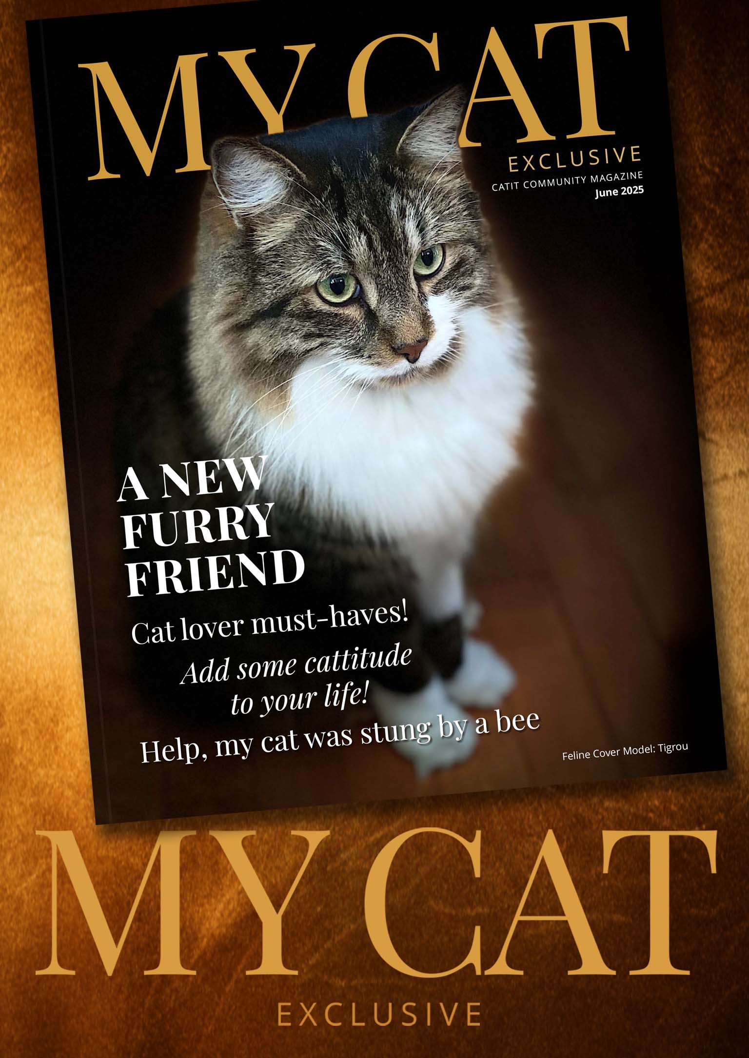 June 2025 issue of My Cat magazine featuring a fluffy tabby cat on the cover with articles on cat care and lifestyle