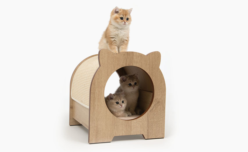 Three kittens sitting on and inside a wooden cat house with a scratching surface on the side