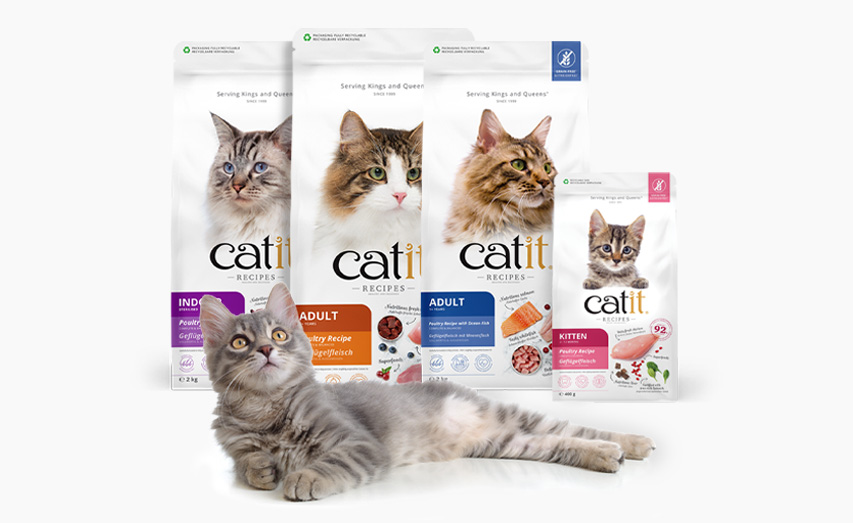 A grey tabby cat lying in front of four bags of Catit Recipes cat food packaging