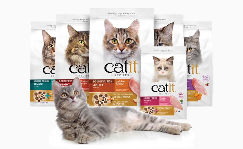 A grey cat lying in front of several bags of Catit Recipes cat food packaging