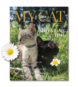 May 2025 issue of My Cat magazine featuring two cats in a field with articles on cat eyes, vaccines, and the Iberian Lynx