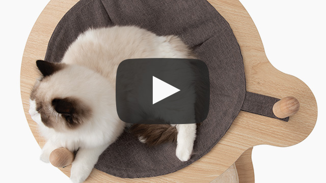 A fluffy cat resting in a circular fabric hammock attached to a wooden cat tree platform with a play button overlay