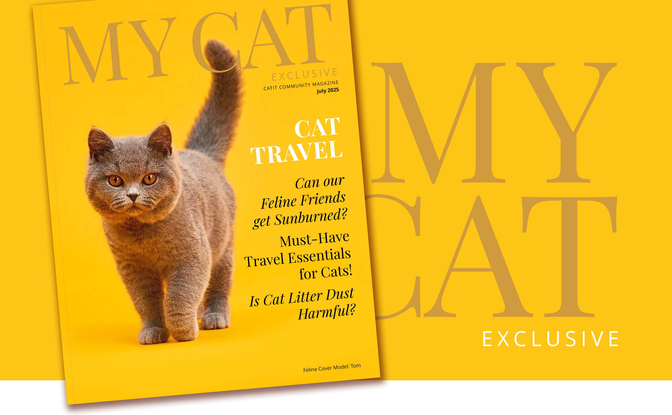 Catit My Cat magazine cover for July 2025 featuring a cat and articles on cat travel, sun safety, and litter dust