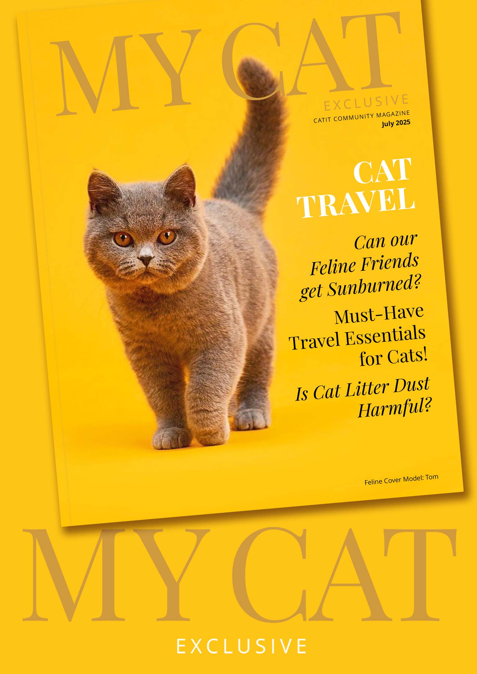 Catit community magazine cover for July 2025 featuring a grey cat and articles on cat travel, sunburn, and litter dust