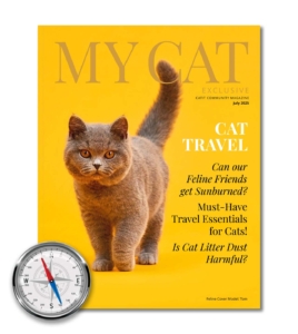 July 2025 issue of My Cat magazine featuring a grey cat and articles on cat travel, sun safety, and litter dust