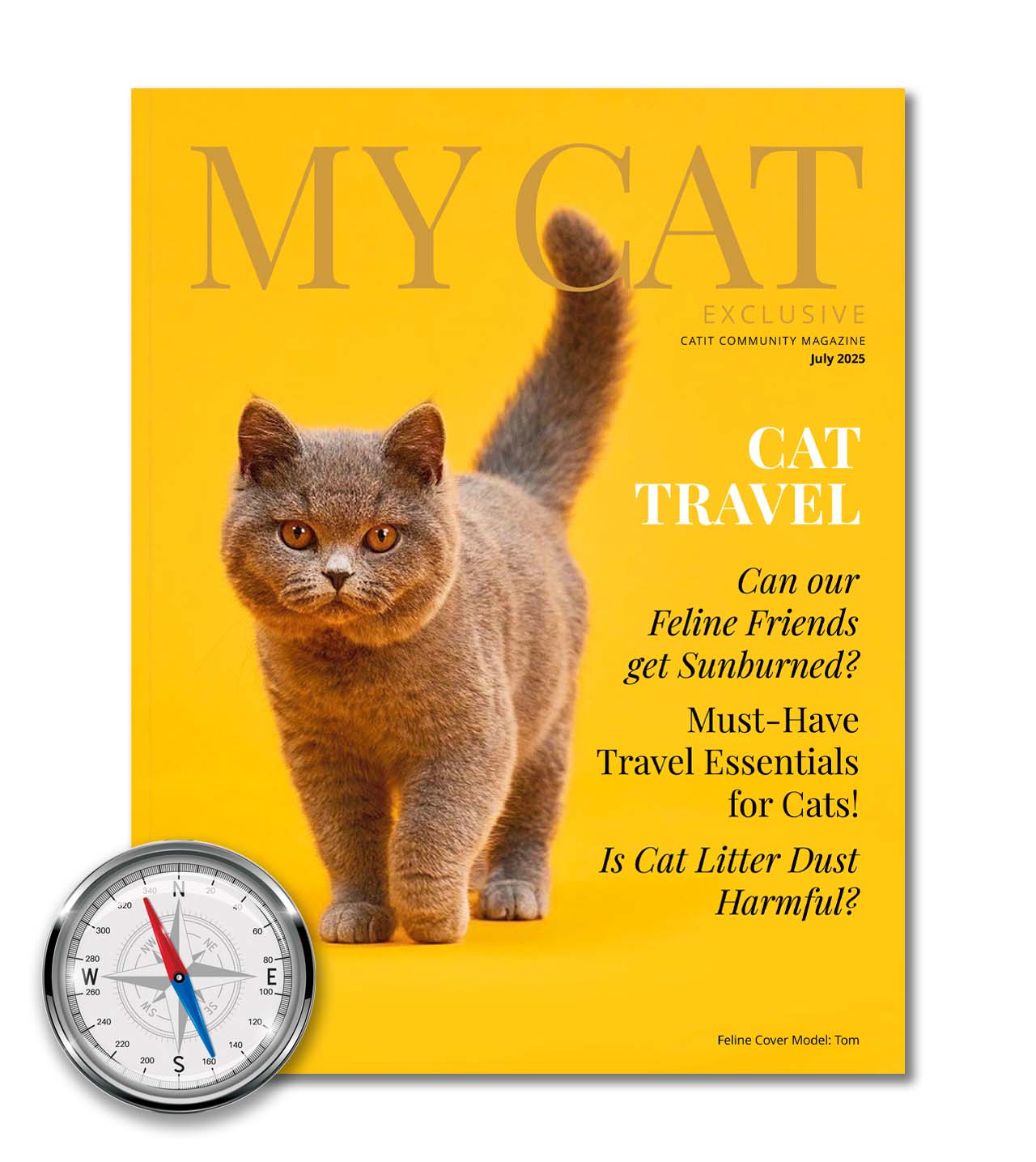 July 2025 issue of My Cat magazine featuring a grey cat and articles on cat travel, sun safety, and litter dust