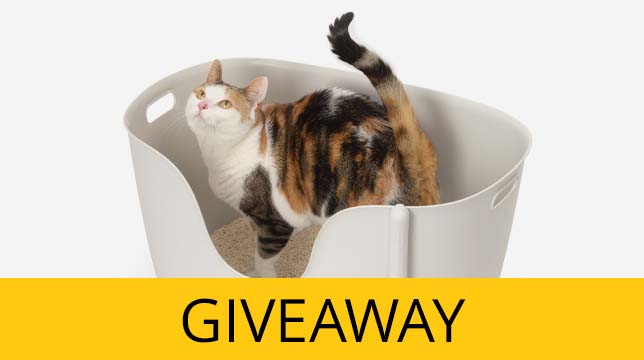 A calico cat standing in a Catit litter box with a banner announcing a giveaway