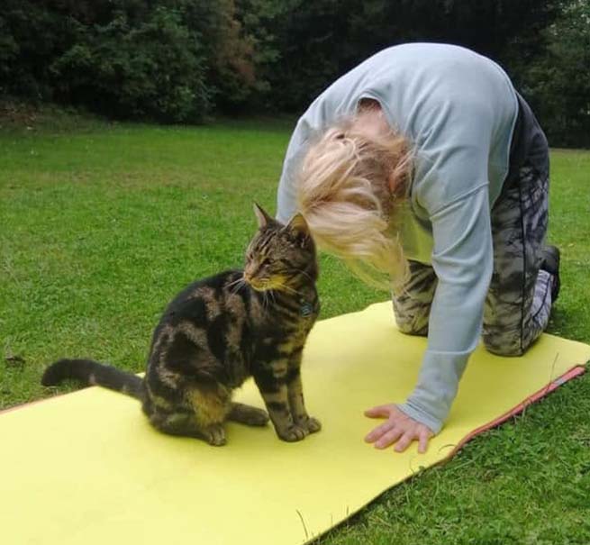 A person doing yoga on a yellow mat outdoors with a tabby cat sitting beside them