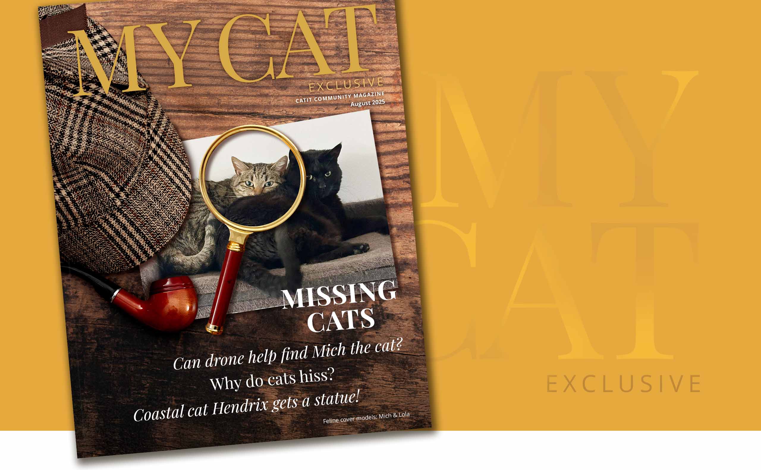 August 2025 issue of My Cat magazine featuring articles on missing cats, cat behavior, and a coastal cat statue