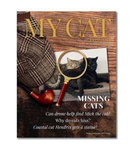 August 2025 issue of My Cat magazine featuring articles on missing cats, cat behavior, and a coastal cat statue