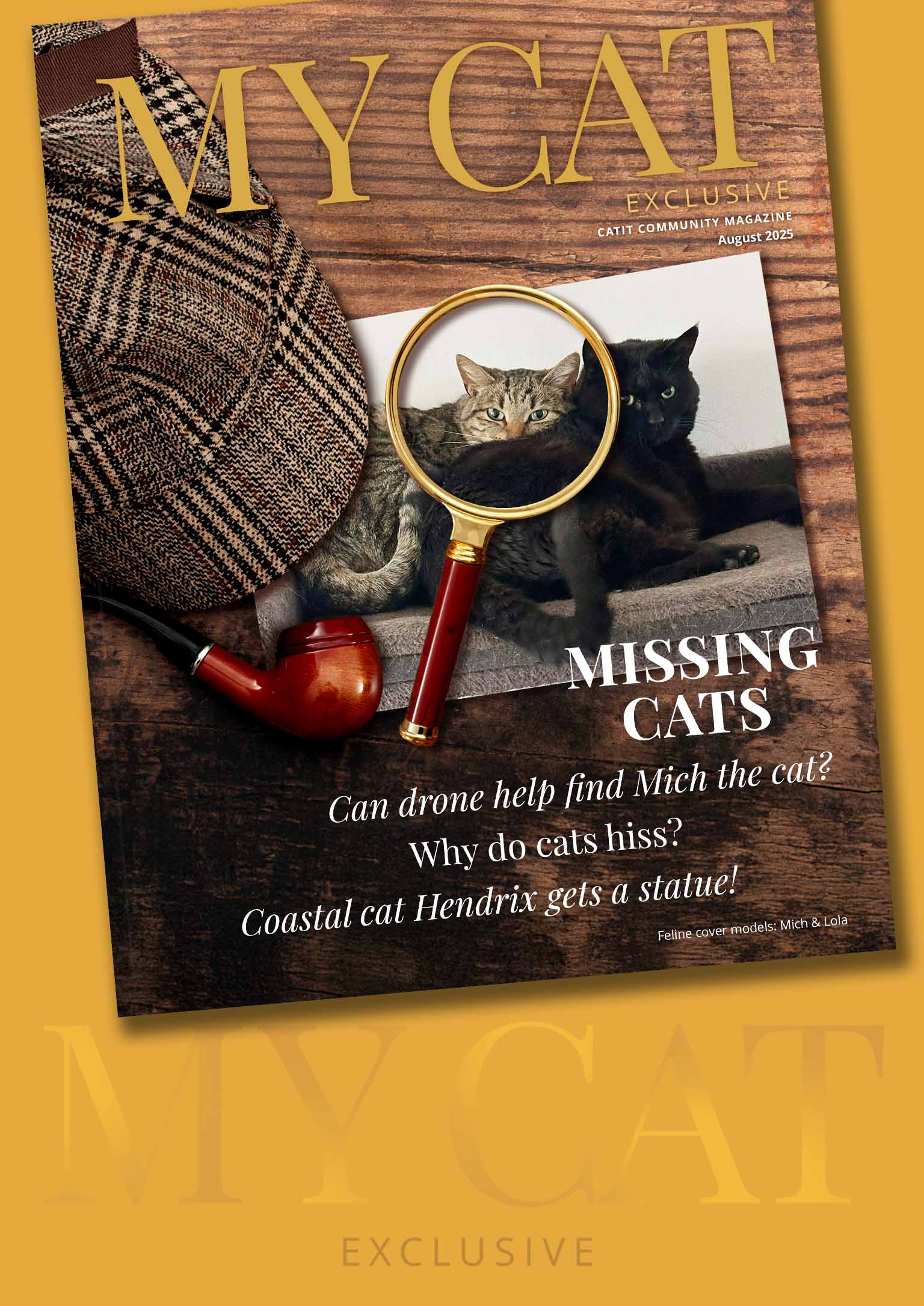 August 2025 issue of My Cat magazine featuring a detective-themed cover with cats, a magnifying glass, and pipe