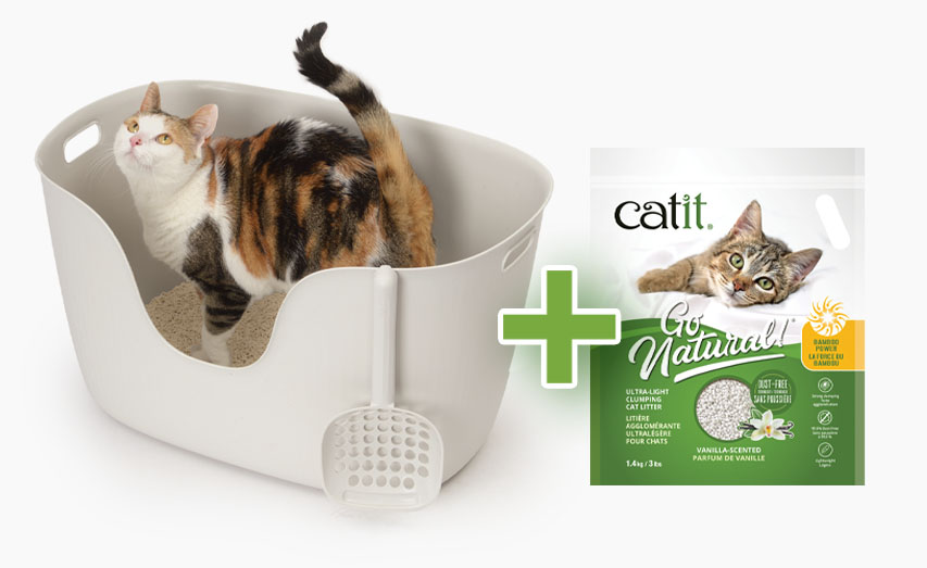 A calico cat standing in a light-colored cat litter box next to a bag of Catit Go Natural vanilla-scented cat litter