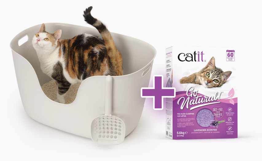 A cat standing in a light-colored litter box with a scoop, next to Catit Go Natural pea husk clumping cat litter packaging