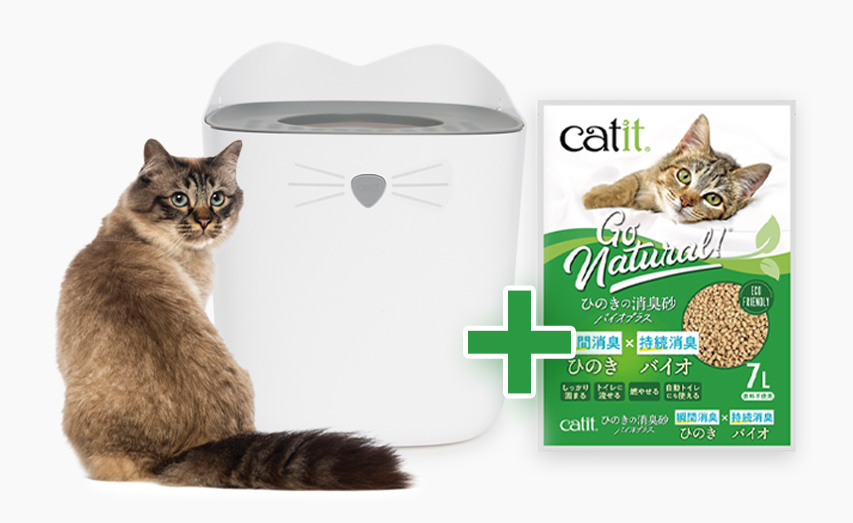 A cat sitting next to a white Catit PIXI litter box and a bag of Catit Go Natural wood litter