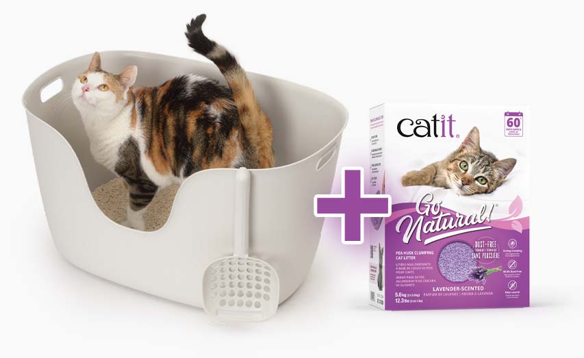 A cat standing in a light-colored litter box with a scoop, next to a package of Catit Go Natural pea husk cat litter