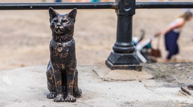 Bronze statue of a cat sitting on a concrete ledge with a blurred background of a person walking along a railing