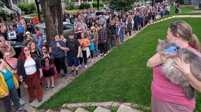 A person holds a fluffy cat in a harness while a large crowd of people waits in line on a sidewalk during a community event