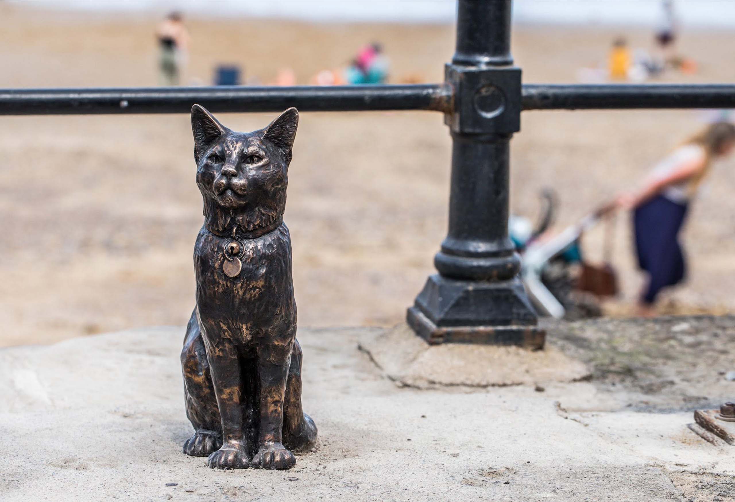 Bronze statue of a cat sitting on a concrete surface near a metal railing at a beach