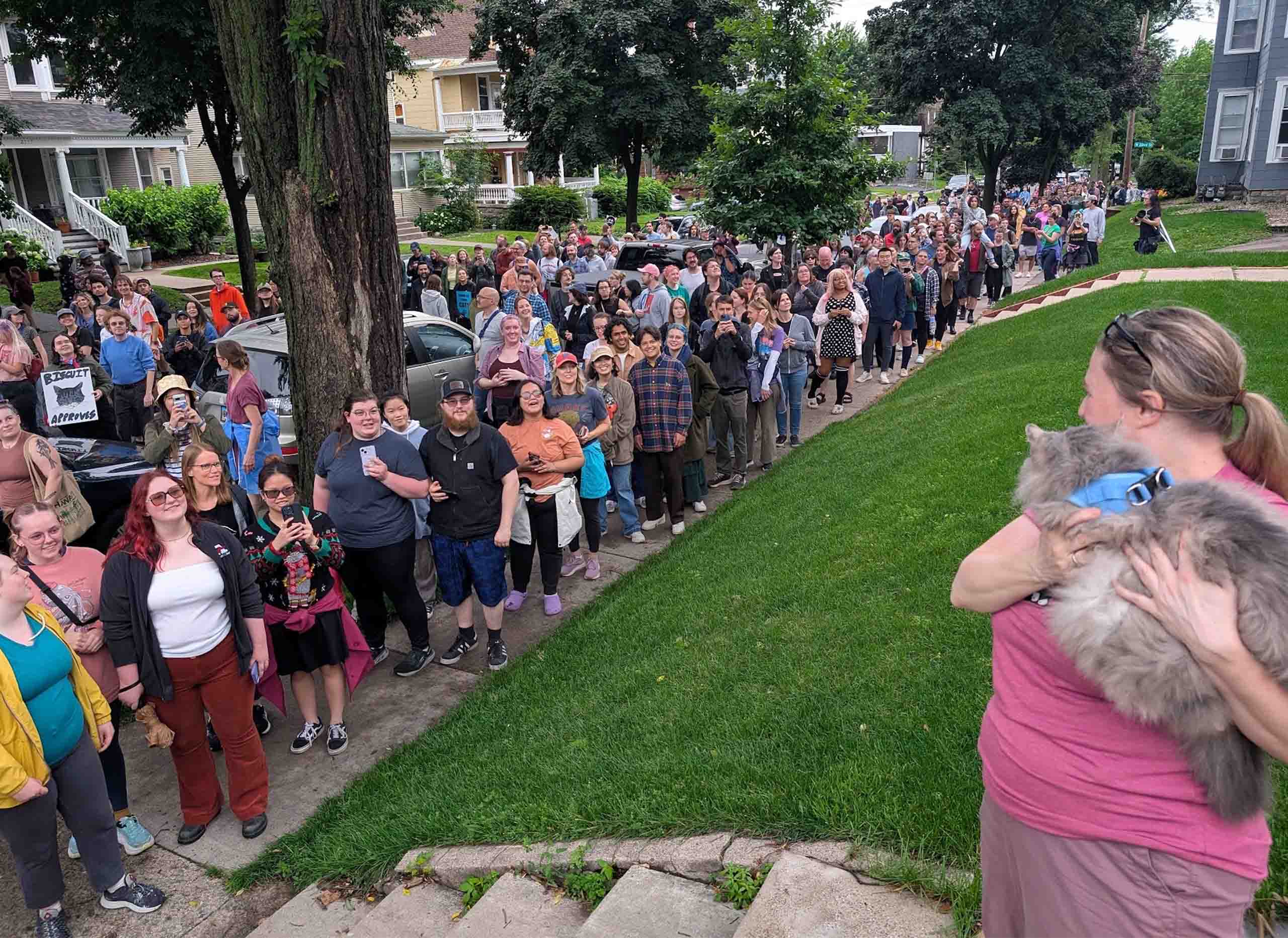 A woman holds a fluffy cat while a large crowd of people waits in line on a sidewalk for the Wedge Cat Walk event
